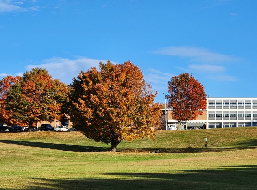 WCC will close at noon on Wednesday, Nov. 27, and reopen on Monday, Dec. 2. 
Happy Thanksgiving!